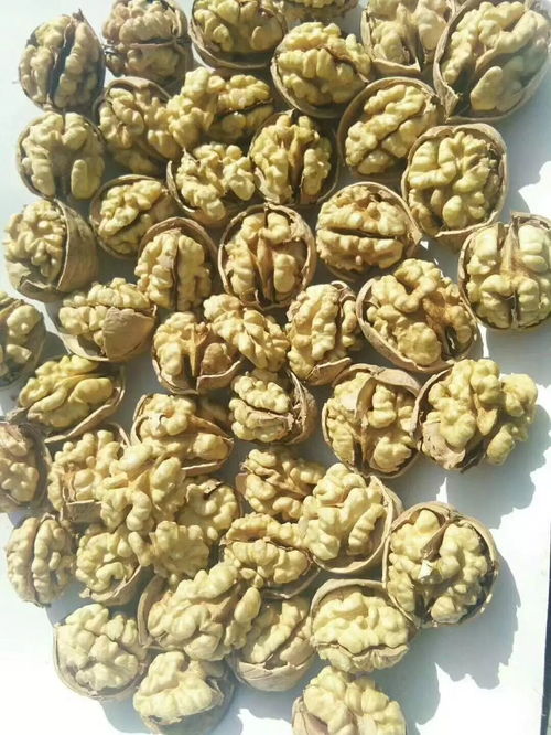 五家渠微利干果元旦特价大礼包 限时抢购，手慢无！